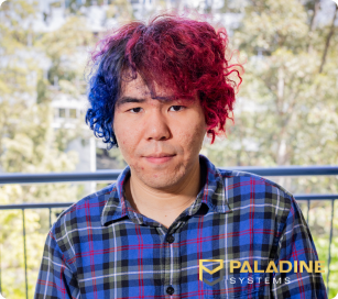 Steve - Paladine Systems Software Developer