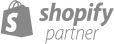 Shopify Partner